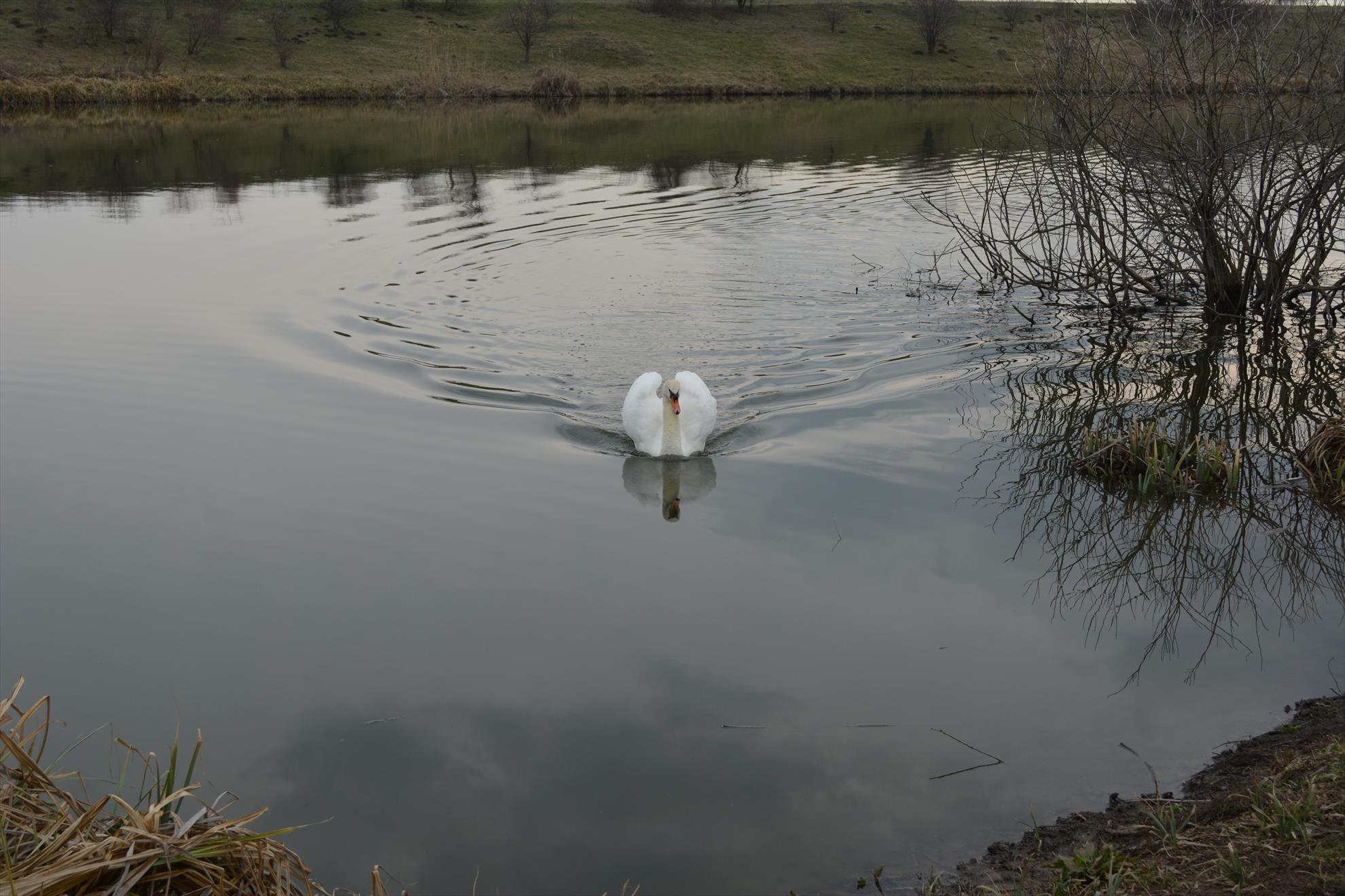 Pescuit :) - dsc0043.JPG